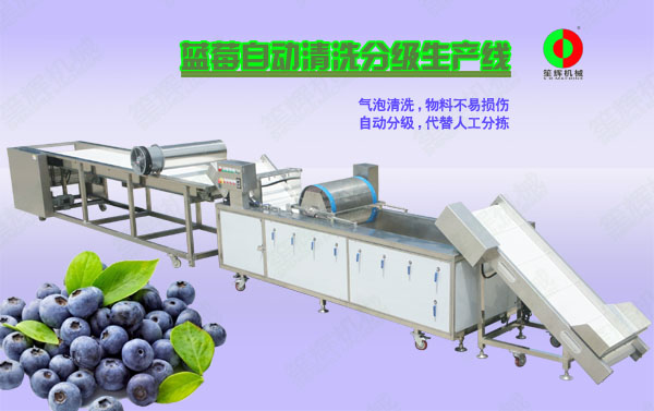 蓝莓/蔬果全自动清洗分级生产线